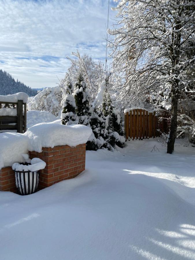 Apartmán Haus Alpenrose Waidring Exteriér fotografie